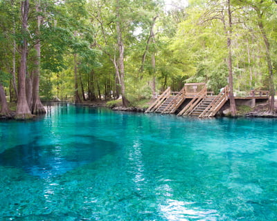 Guided Clear Kayak Tour of Ginnie Springs