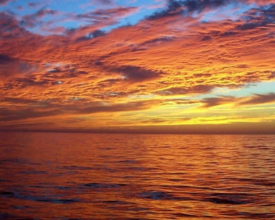 Cruise Provincetown Harbor at Sunset