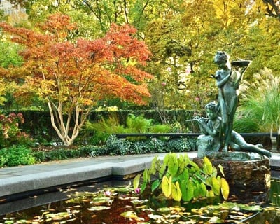 Explore Central Park on a 3-Hour Pedicab Tour
