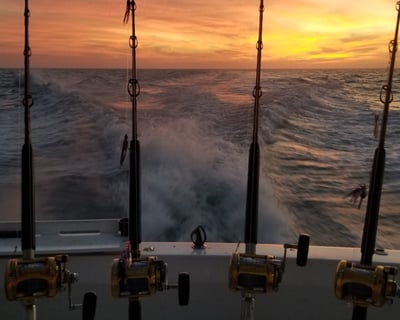 Private Deep Sea Fishing Charter in Key West