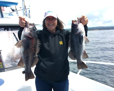 Catch Lingcod & Sea Bass on 5-Hour Newport Trip