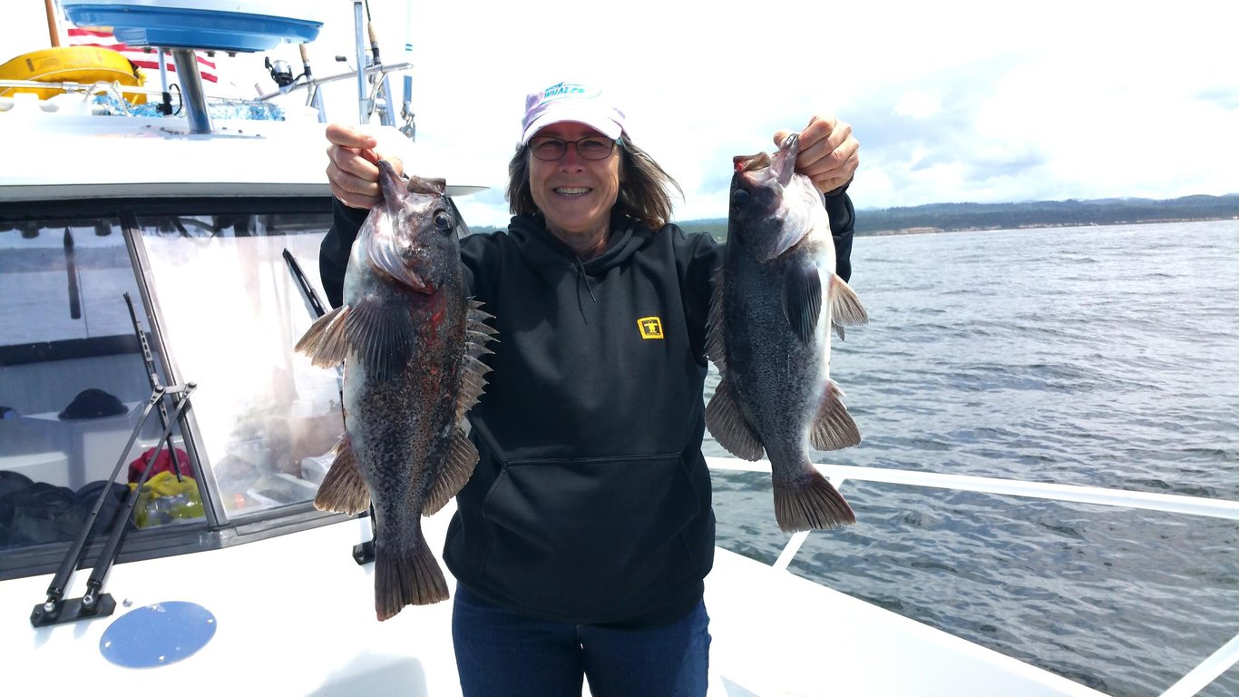 Catch Lingcod & Sea Bass on 5-Hour Newport Trip