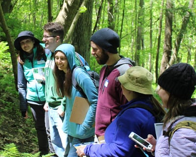Foraging Hike: Edible & Medicinal Plants Rockbridge