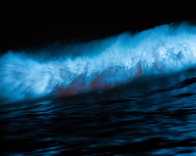Cocoa Beach Bioluminescence Cruise