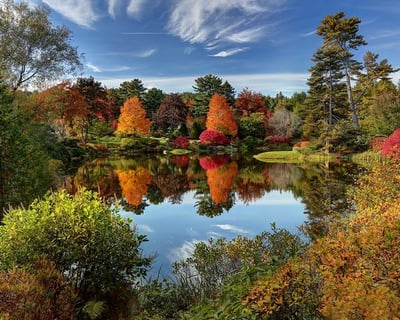 Mount Desert Island Coastlines, Fjord and Victorian Mansions Tour