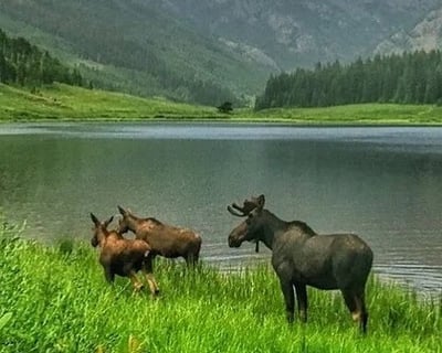 Jeep Tour to Piney River Ranch From Vail