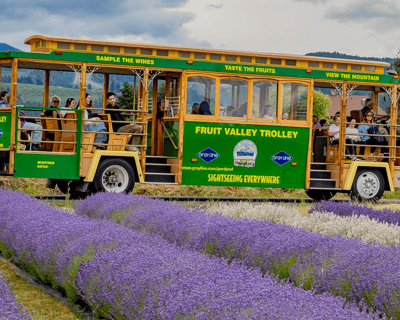 Hood River Valley Trolley & Train Combo Tour