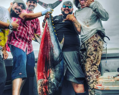 Bluefin & Albacore Fishing Trip in South San Francisco