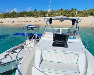 4-Hour Icacos or Palomino Island Charter
