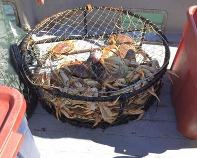 Ocean Crabbing Trip in Newport, Oregon