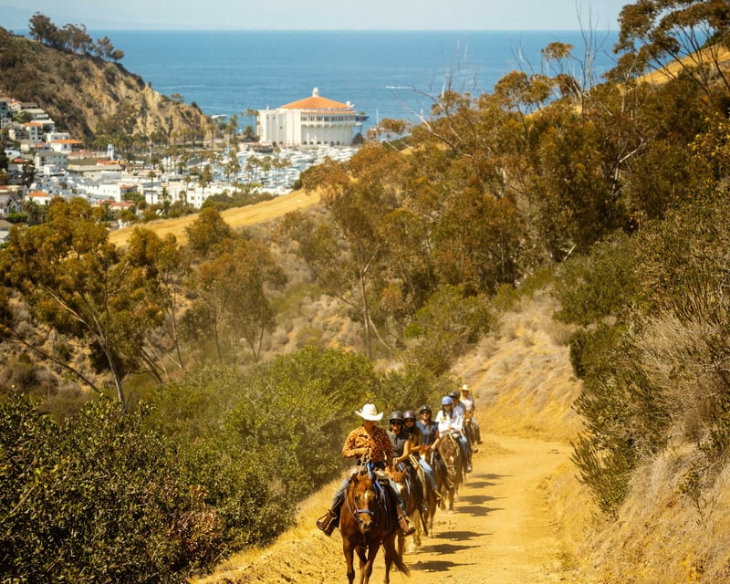 Catalina Island Horseback Riding with Ferry & Hotel Pickup