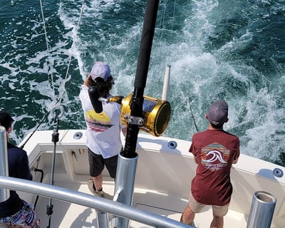 Ocean City 4-Hour Inshore Fishing Charter