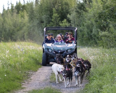 1-Hour Sled Dog Cart Ride in Fairbanks