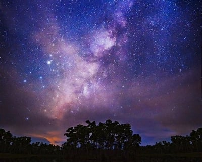 Everglades National Park Starry Night Boat Tour
