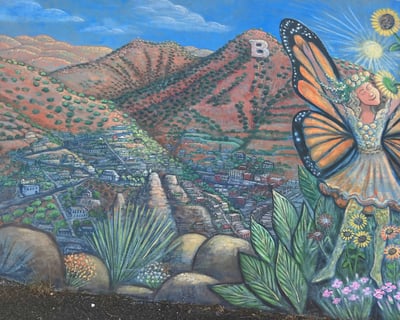 Bisbee Street Art Guided Tour