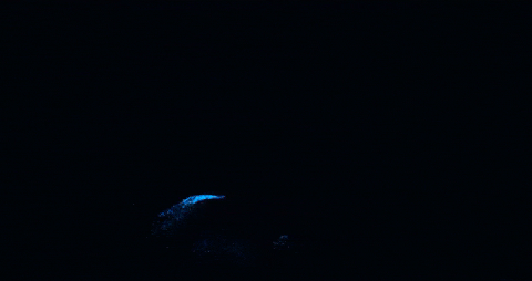 Addon image