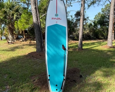 225-lb Capacity Surfboard Rental in Amelia Island