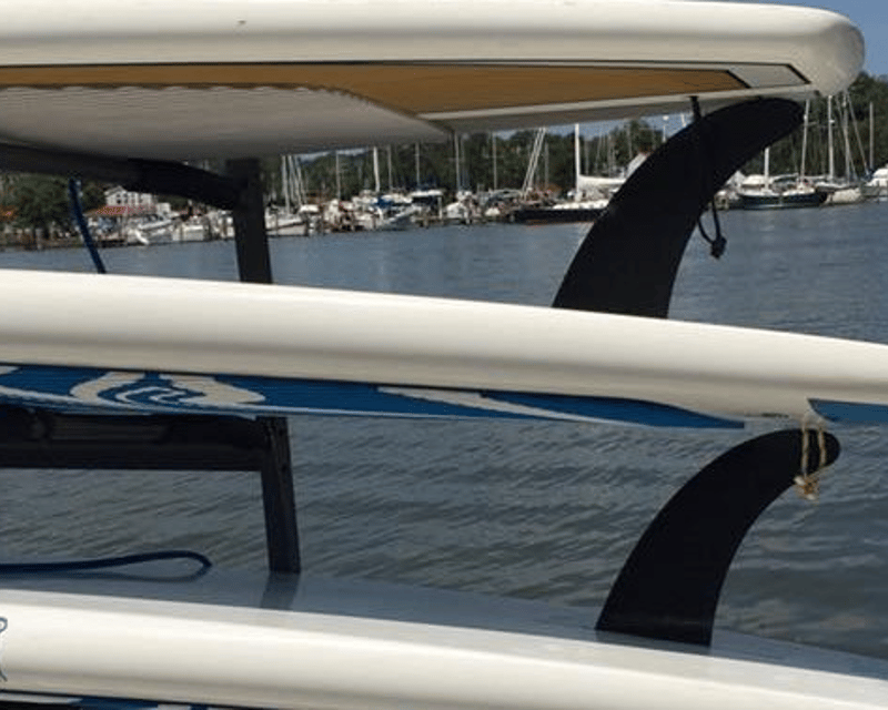 Paddle Board Rental in Deale