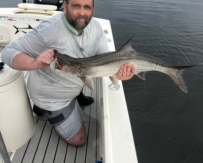 Fish an Inshore Private Charter in Sarasota & Tampa Bay