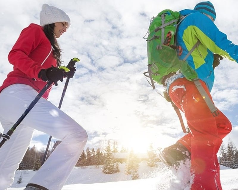 Naturalist-Guided Wildlife & Ecology Hike in Jackson Hole