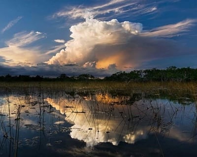 2-Hour Everglades Airboat Tour
