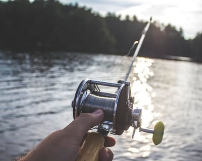 4-Hour Mobile Bay Fishing Charter