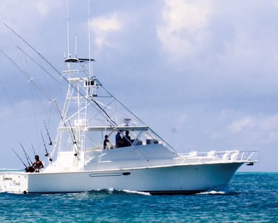 4-Hour Deep Sea Fishing Charter in Providenciales