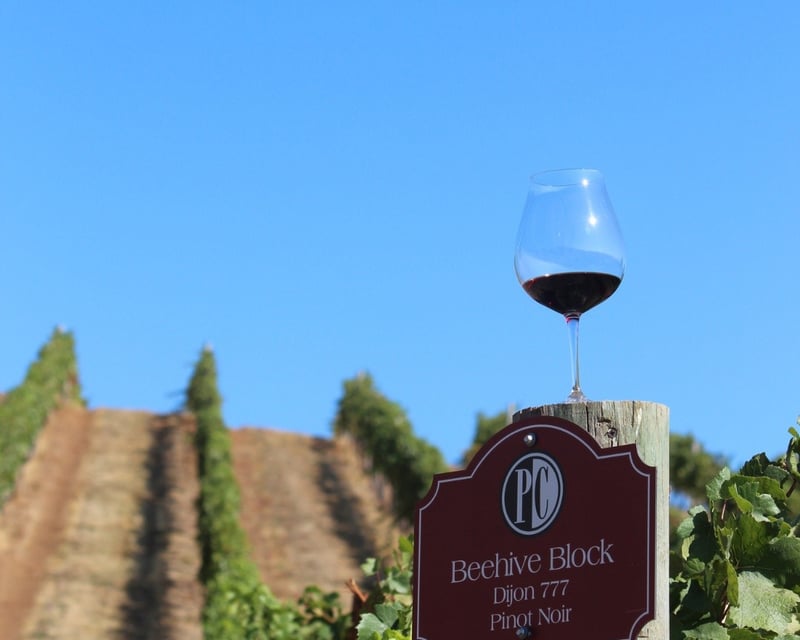 Gorge Harvest & Wine Tour in Hood River