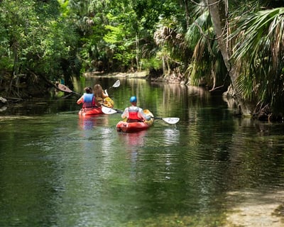 5-Mile Silver River Paddle in Silver Springs