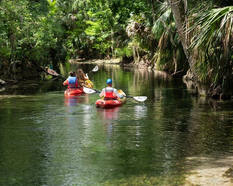 5-Mile Silver River Paddle in Silver Springs