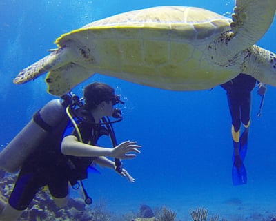 Miami Scuba Skills Refresher With 2 Ocean Dives