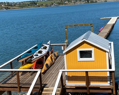 Langley Kayaking Tour: Penn Cove Wildlife & History