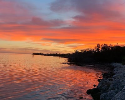 Cruise a Private Sightseeing Charter in Islamorada