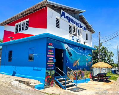 Aguadilla Scuba Skills Refresher With 2 Guided Dives