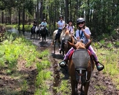 2-Hour Horseback Trail Ride in Sorrento