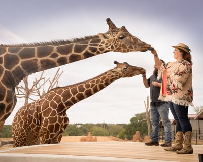 Private VIP Tour with Rhinos, Giraffes, and Sloth