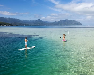 Snorkel & Splash Kāne‘ohe Bay Sandbar Cruise
