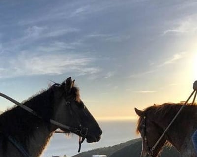 Malibu Ocean View Horseback Ride