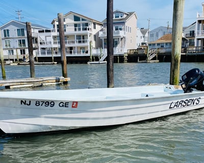 Ocean View Full-Day 16' Skiff Rental