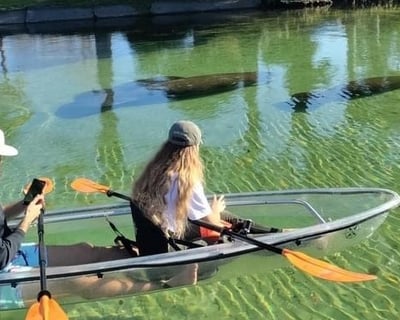 Clear Kayak Manatee Tour with Expert Guide