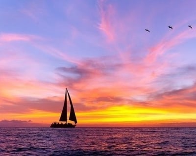 Sunset & Dolphin Sightseeing on the Daydreams Sailboat