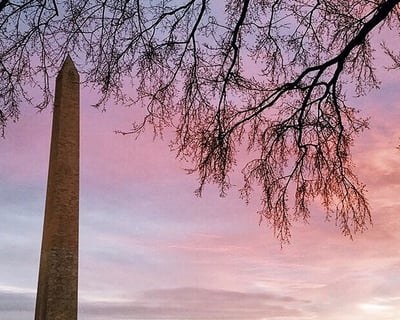 2.5-Hour National Mall Guided Walking Tour