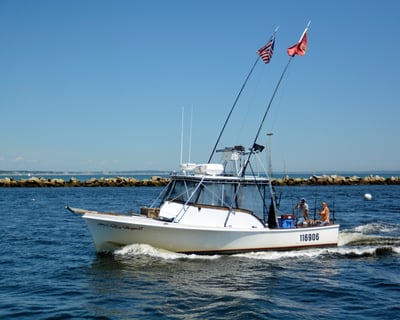 Lobstering & Scenic Cruise in Biddeford