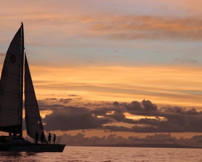 2-Hour Maui Sunset Catamaran Cruise From Lahaina