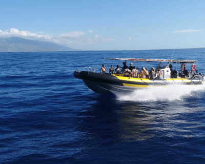 5-Hour Molokini & Turtle Tour