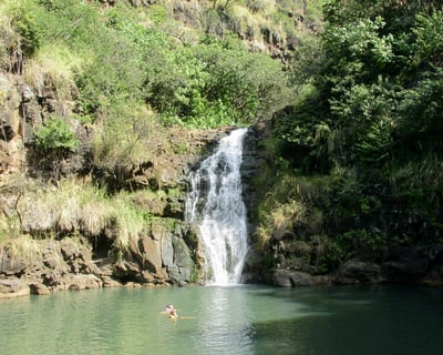 Explore Oahu Circle Island Guided Tour With Waimea