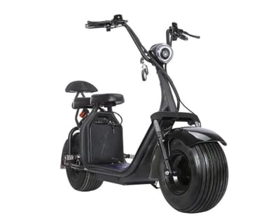 Fat Tire Electric Scooter Rental in Boston