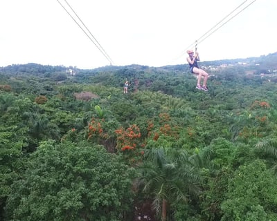El Yunque Canopy Zipline Tour