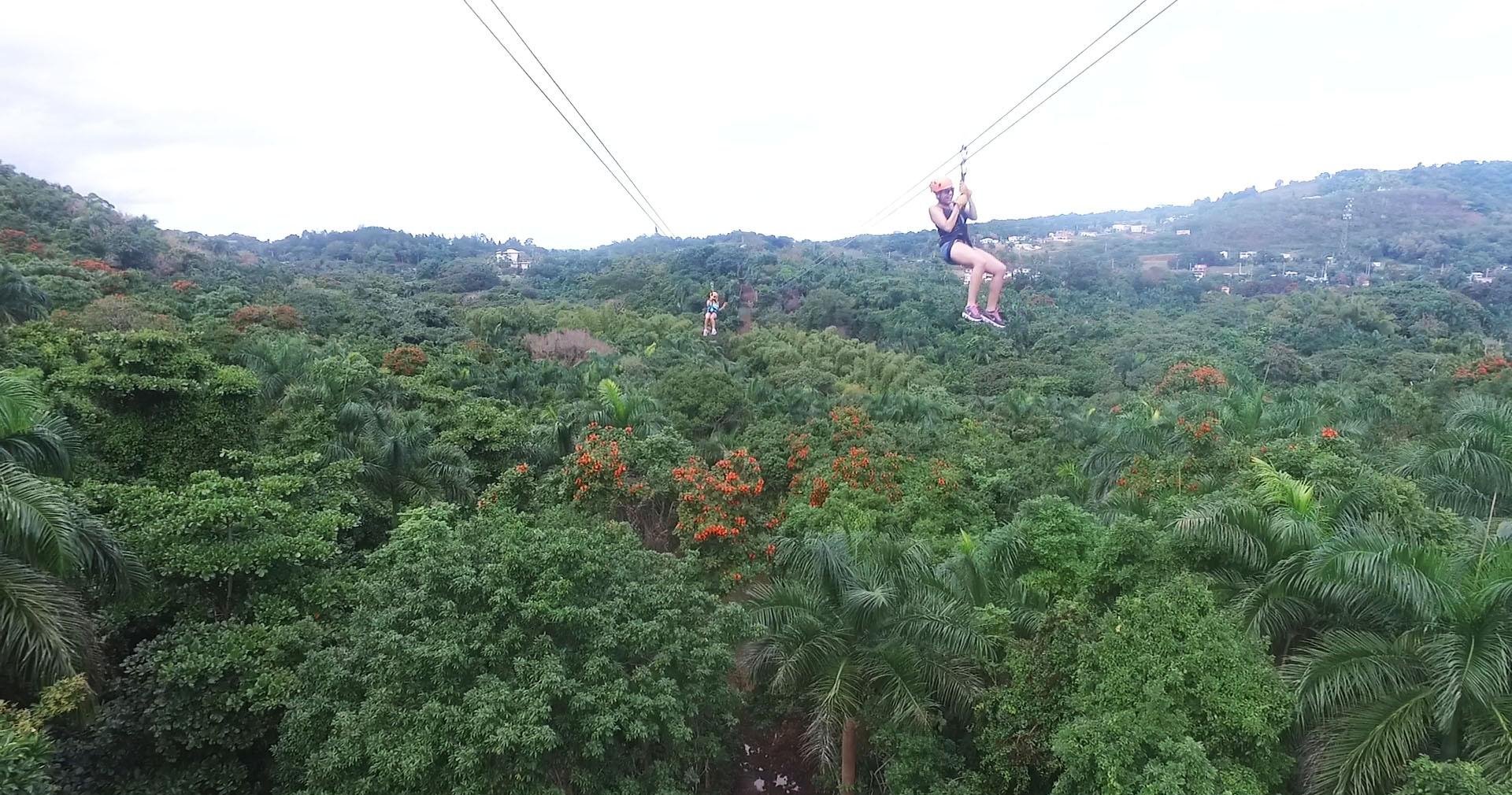 The 19 Best Picks for Zip Lining in San Juan, PR