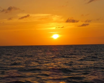Sunset Cruise in St. Lucia